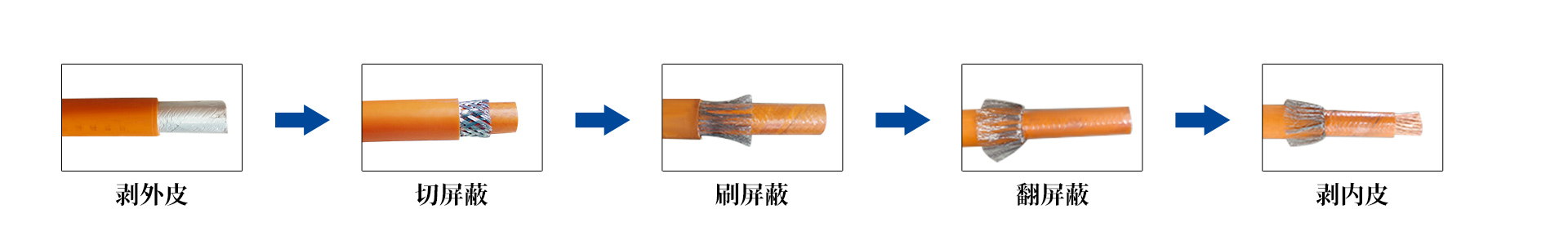 uploads/image/20251213/1765599341.jpg